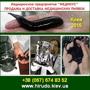 Где Можно Купить Пиявки В Москве