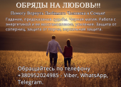      ,   ,       ,   . ,    - 