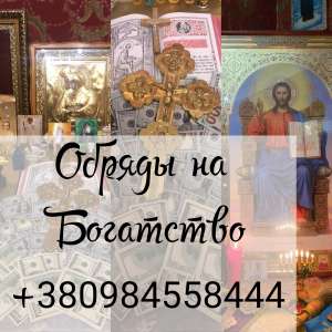        ,      +380984558444 -  1