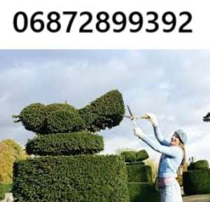       ! -  1