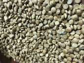       aa