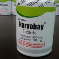 ,     (Harvobay)? -  1