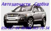   ,  . Chevrolet Captiva 100 140 . -  2