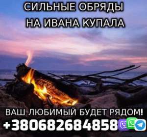     +380682684858 -  1