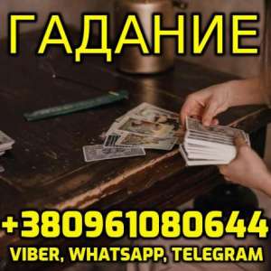     +380961080644 -  1