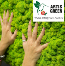     Artis Green -  3