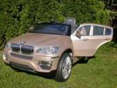     BMW X6: PLATINUM-GOLD -  2