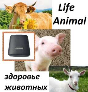     Life Animal. 4      . -  1