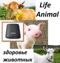     Life Animal. 4      ..   - /