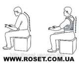    Power Magnetic Posture Support "EMSON" -  3