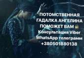   :    Viber WhatsApp  +380501880138