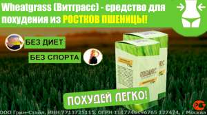    Wheatgrass -  1