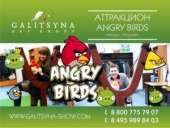   :   Angry Birds