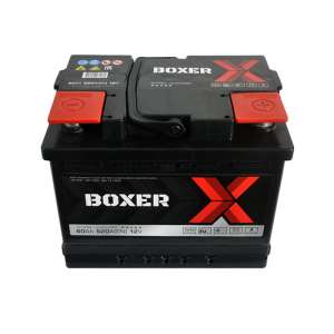   BOXER (555 80) (L2) 60Ah 520A R+ ( +) -  1