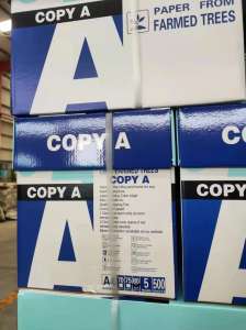   Copy A , A4 500 80gms -  1