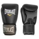   Everlast Muay Thai Gloves. ,  - /