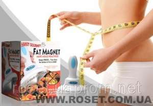   Fat magnet ( ),    ,  -  1