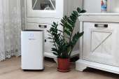   Maxton MX-12 Smart  Wi-Fi ,     -  3