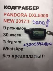   Pandora DXL 5000   -  1