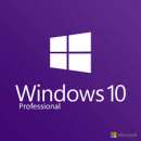   Windows 10 PRO 32/64 bit -  2