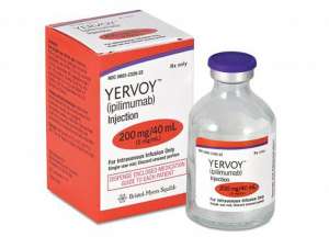   Yervoy( )    -  1
