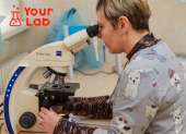   Your Lab    