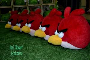  Angry Birds -  1