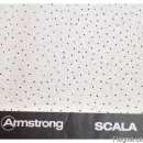  Armstrong Scala board 600*600*12 (70% ).   - /