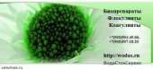   : : Bacti-bio ( ), Bioremove (), Biozim (), Biobac (), Bionex (), C,  