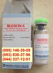  (Bleocin-S, ) 15 . 1 (, Nippon Kayaku Co., LTD) -  1