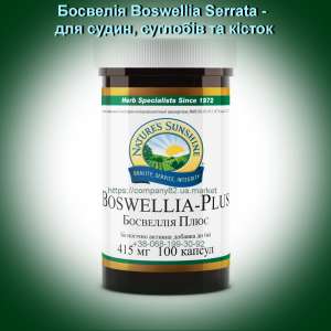  Boswellia Serrata NSP -  ,    -  1