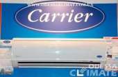   :  Carrier  