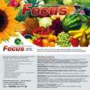  Focus      -  2