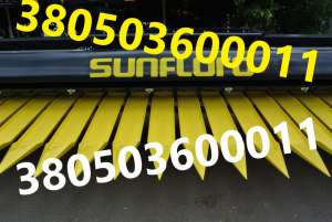  Sunfloro shuft -  1