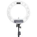 100 ���� ��������� ����� LUMO� LF R-480 ��������� ���� ��������� - ����������� 2