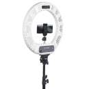 100 ���� ��������� ����� LUMO� LF R-480 ��������� ���� ��������� - ����������� 3