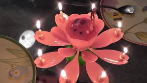 100% ��������. ���� �����. ������������������ - ����������� 1