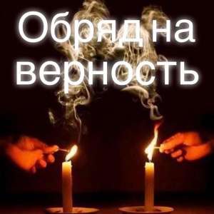 100% �������� �������� �������� - ����������� 1