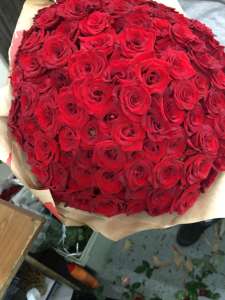 101 ���� - ����������� 1