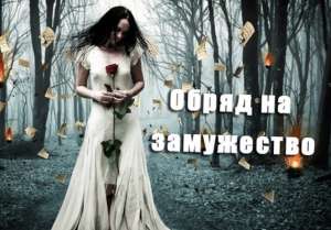 🔮����� �������🔮 🔮�������� ������ ����� 🔮 ����� ��� ������� � ���������� - ����������� 1