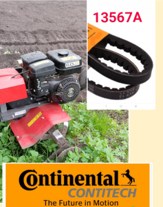 13567� ������ ��������� PUBERT - ����������� 1