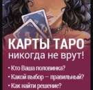 +380685882087        . ,    - 