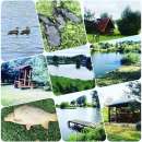 5 �� ����� � ������� ��� ��������� - ����������� 3