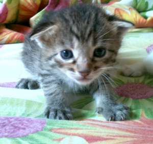 5 ���������������� ����� ������ ������ - ����������� 1