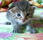 ������� � ����������: 5 ���������������� ����� ������ ������