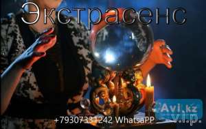 7930 7331242 ����� ������ ����������� ����� - ����������� 1