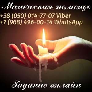 +79684960014�������� �������� �����������. ������ ����� �����������. ������ �����������. - ����������� 1