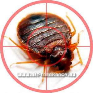 8 (926) 904-76-54, ������, ��������� ���������� ������ � ���������, �����, ���������. - ����������� 1