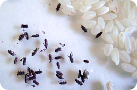 8 (977) 342-10-45, ����������� �������� �� ������ ��������. ������ � ���������. - ����������� 1