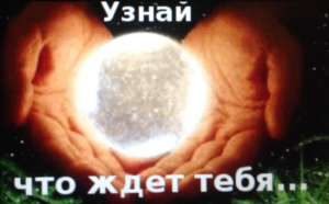 89892716705 ��� �� ����� - ����������� 1